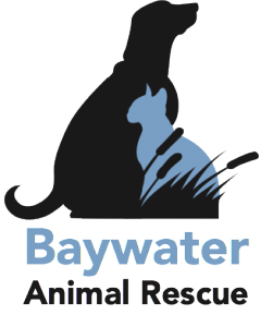baywater-animal-rescue-image